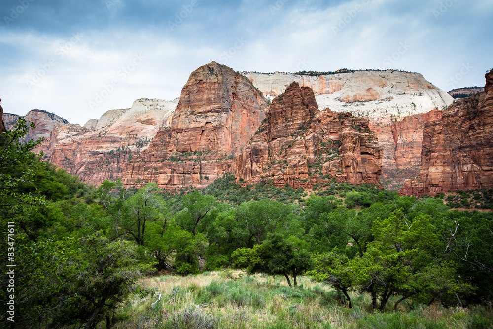 Paysage de Zion national park