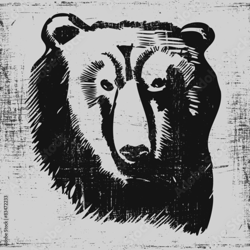 bear head hand drawn sketch grunge texture engraving style
