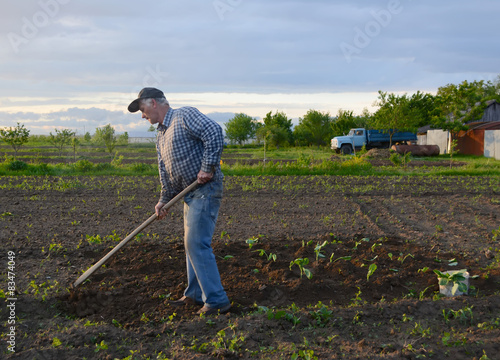 Photography Farmer hoeing vegetable garden