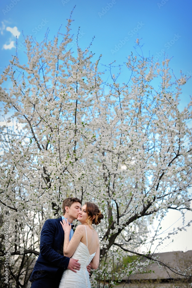 beautiful newlyweds walking in spring blooming garden beautiful newlyweds walking in spring blooming garden