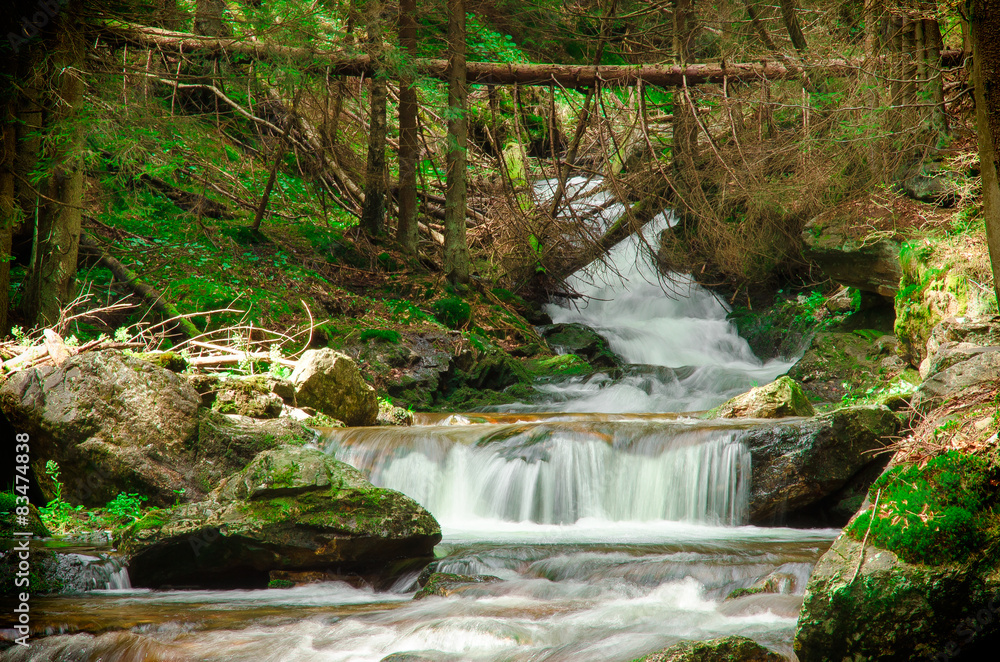 Fototapeta premium Cascading waterfall in deep forest