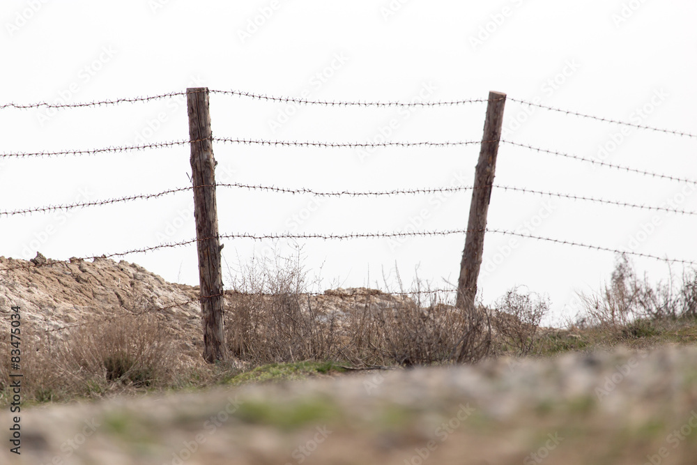 barbed wire on nature barbed wire on nature