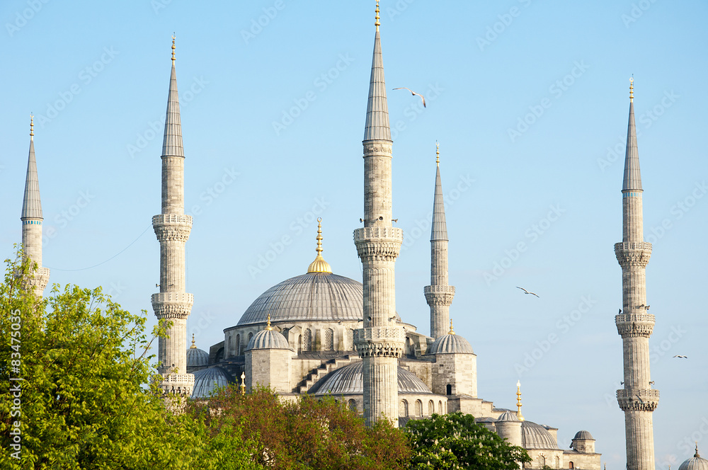 sultan ahmed mosque exterior in istanbul turkey