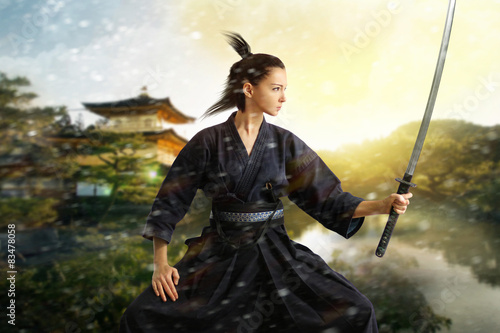 Japan samurai collage