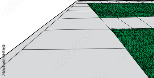 Isolated Sidewalk and Turf Grass