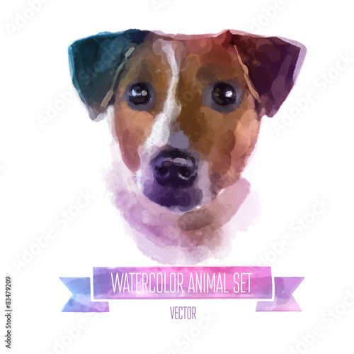 Vector set of watercolor illustrations. Cute jack russell