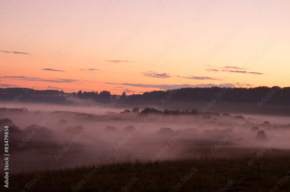 Beautiful foggy Rural Landscape before sunset