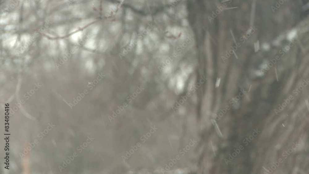 A fast and chaotic snow flurry blows through frame. A fast and chaotic snow flurry blows through frame.