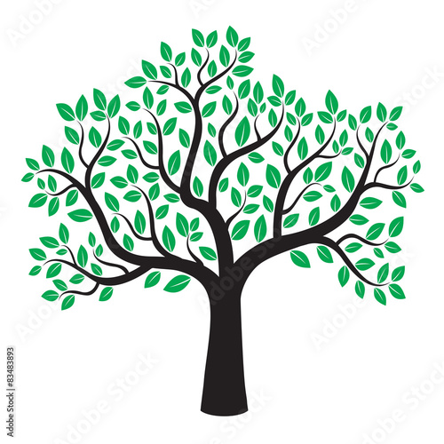 Vector tree with leafs.