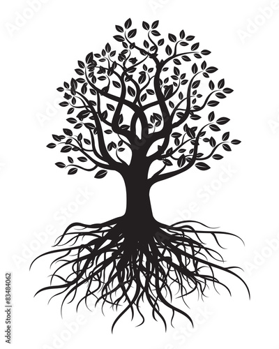 Vector tree with roots and leafs.
