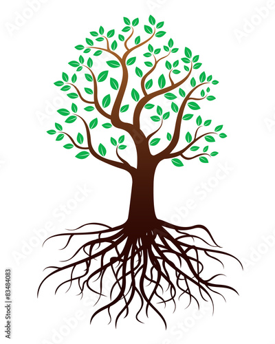 Vector tree with green roots and leafs.