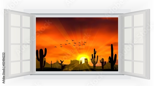  Open window  of cactus tree when the sunset