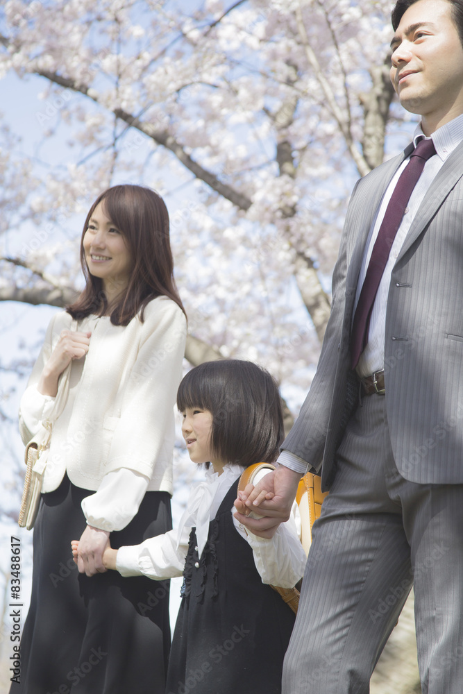 桜並木を歩く家族