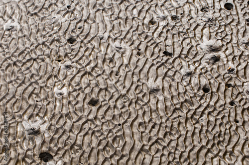 At low tide looking abstract patterns of sand.