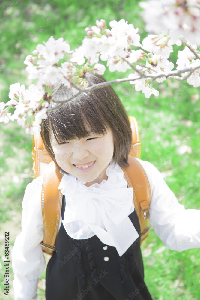Obraz premium 桜並木に立つ女の子
