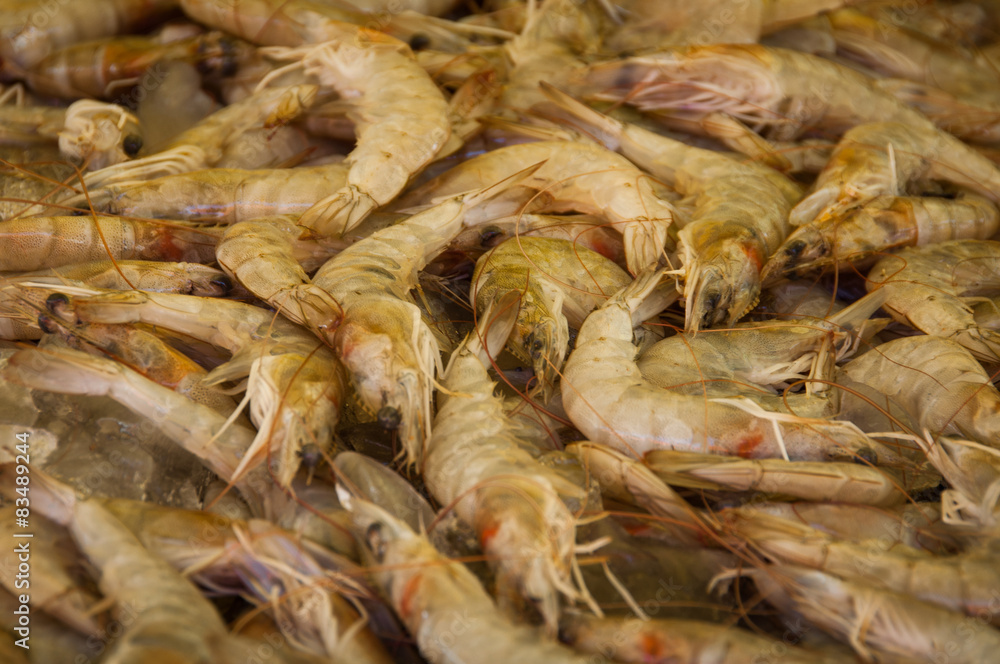 Raw Shrimps
