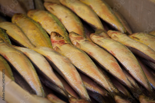 Fresh Fish at the Market