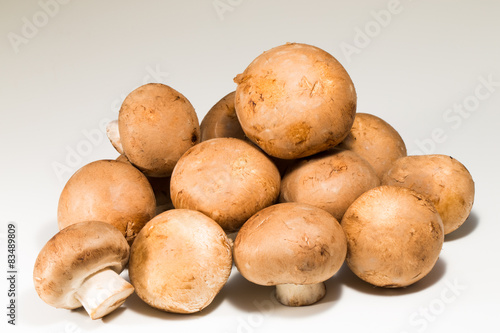 Closeup of fresh mushroom