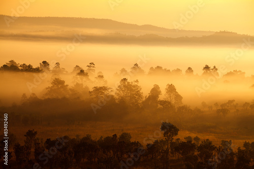misty morning sunrise in mountain at Thung Salang Luang National © sripfoto