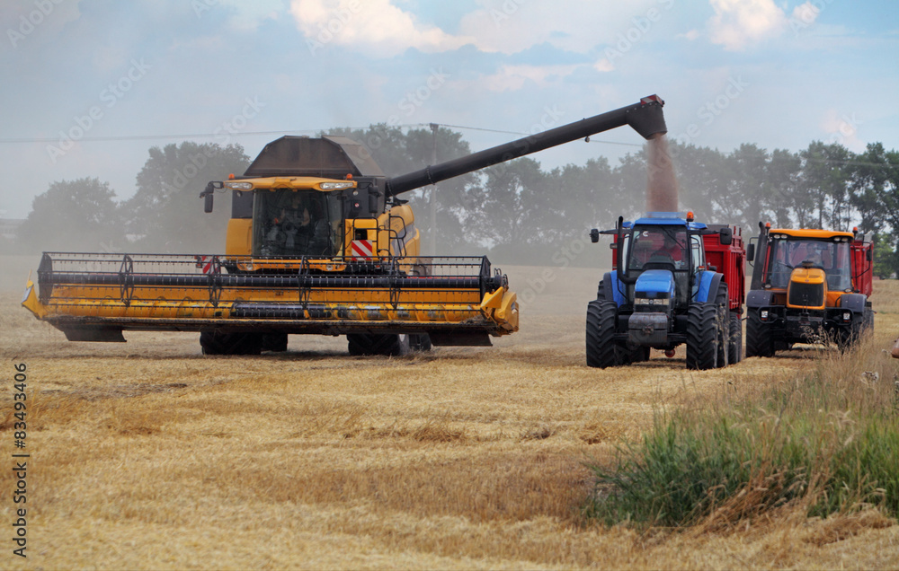 Field and harvester Field and harvester