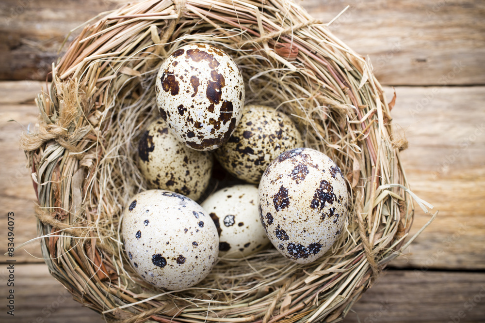 Obraz premium Quail eggs. Easter greeting card.