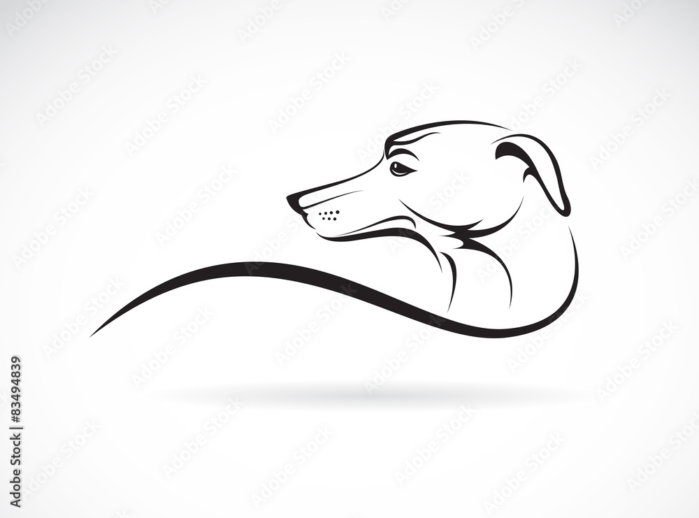 Vector image of an dog (azawakh) on white background Vector image of an dog (azawakh) on white background