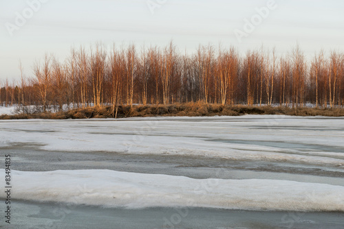 Spring landscape on the river in Siberia
