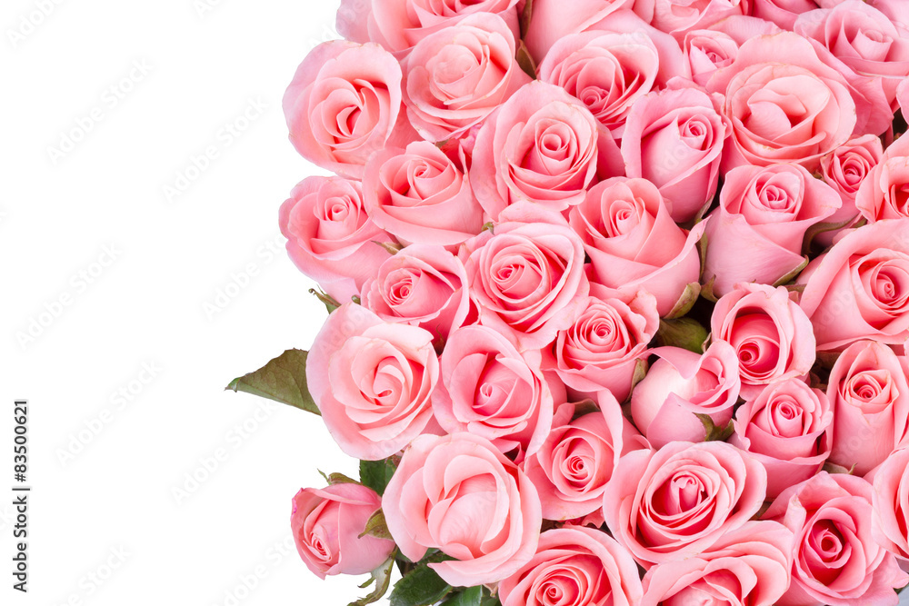 Fototapeta premium pink rose flower bouquet on white background