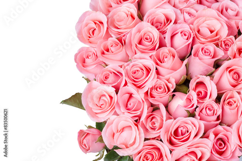 pink rose flower bouquet on white background