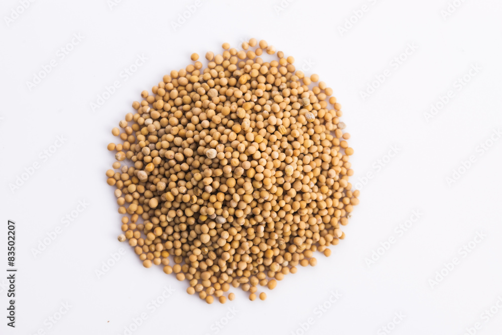 Yellow mustard seeds isolated Yellow mustard seeds isolated