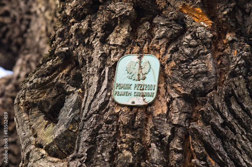 Tree as natural monument in Poland