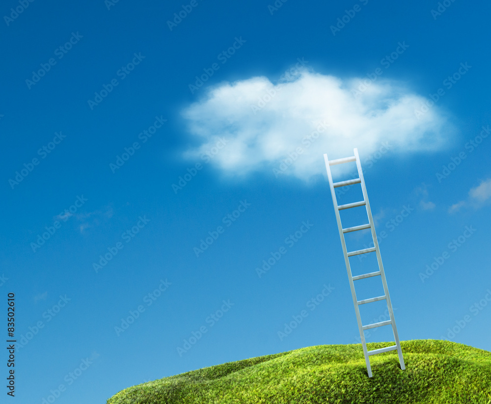 ladder to sky