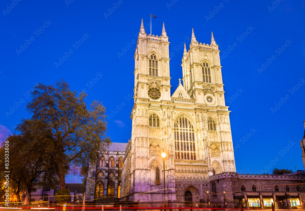 Obraz premium Westminster Abbey in the evening - London, England