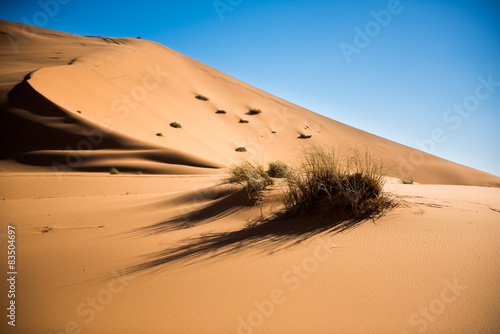 Fototapeta Naklejka Na Ścianę i Meble -  Sand dunes of the Sahara desert