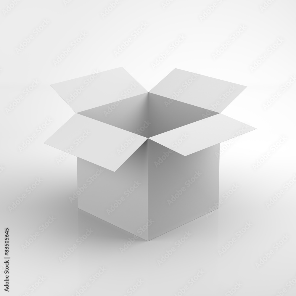Opened white cardboard box Opened white cardboard box