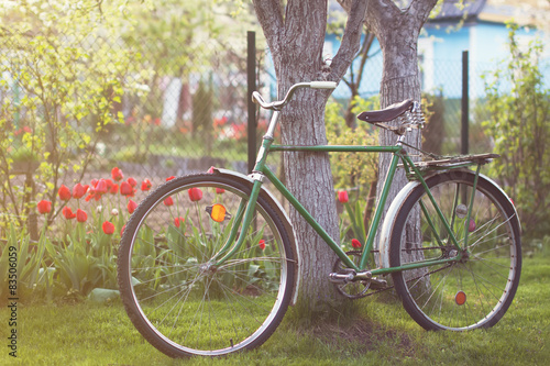 USSR retro bicycle in spring garden