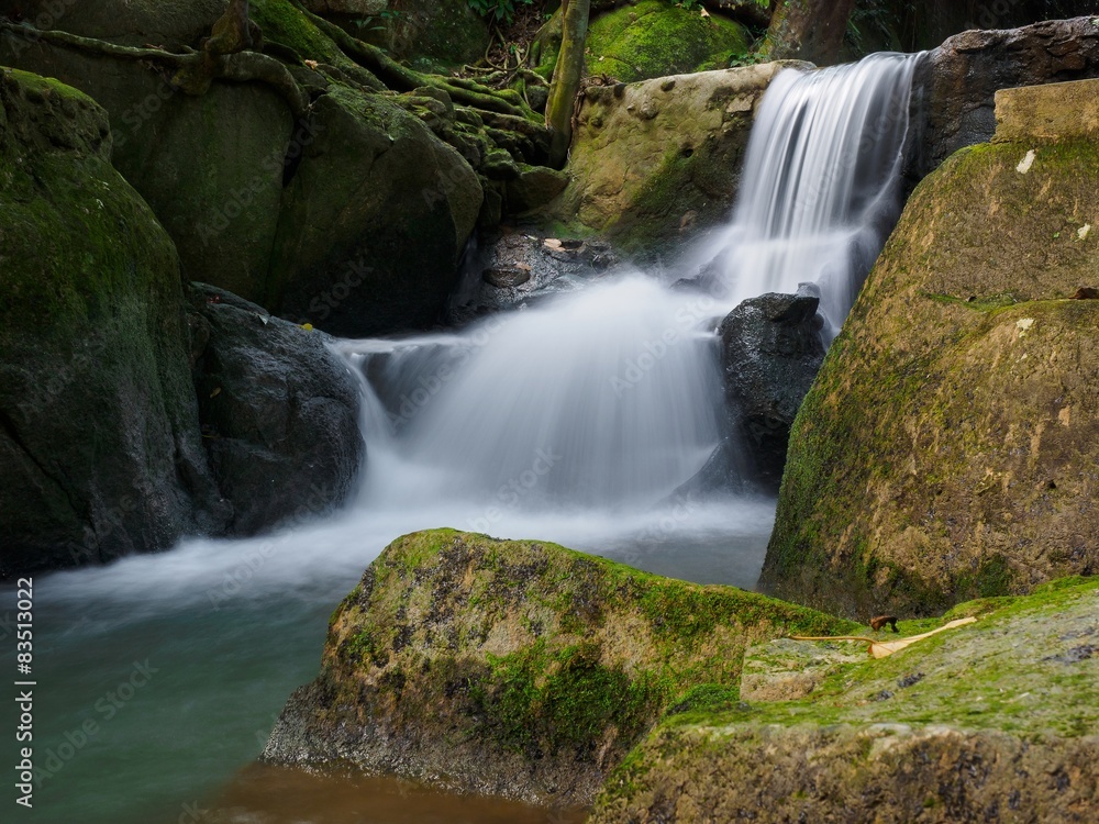 Obraz premium cascade in the forest