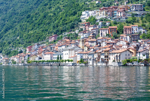 Lake Como (Italy) shore view. © wildman