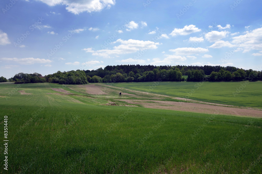 Landscape in the south of Czech Republic