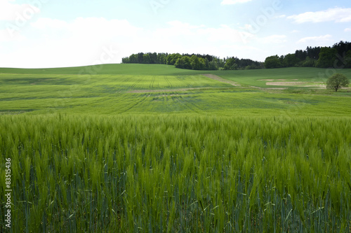 Landscape in the south of Czech Republic