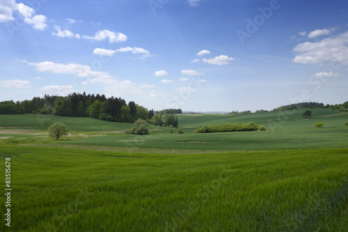 Landscape in the south of Czech Republic