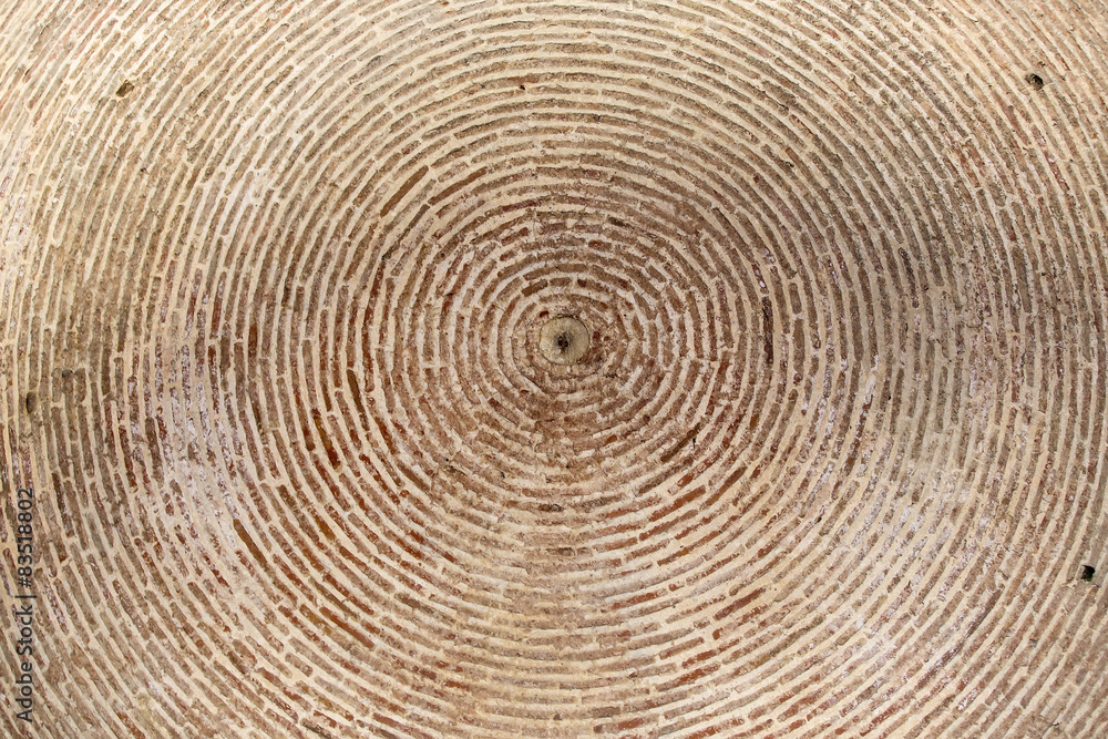 Fototapeta premium photo of an old brick wall close up shot