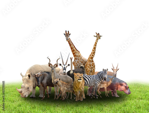 Fototapeta Naklejka Na Ścianę i Meble -  group of africa animals