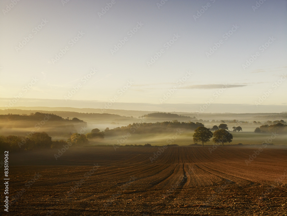 A ploughed field and view over surrounding undulating hills, at dawn with a mist rising from the land. A ploughed field and view over surrounding undulating hills, at dawn with a mist rising from the land.