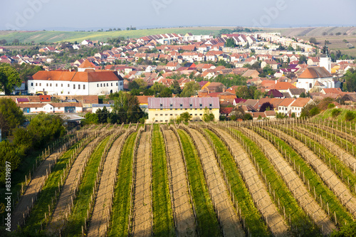 Cejkovice with vineyard, Czech Republic photo