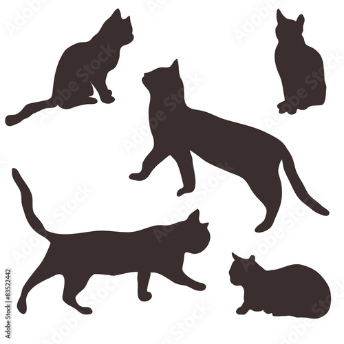Collection of cats