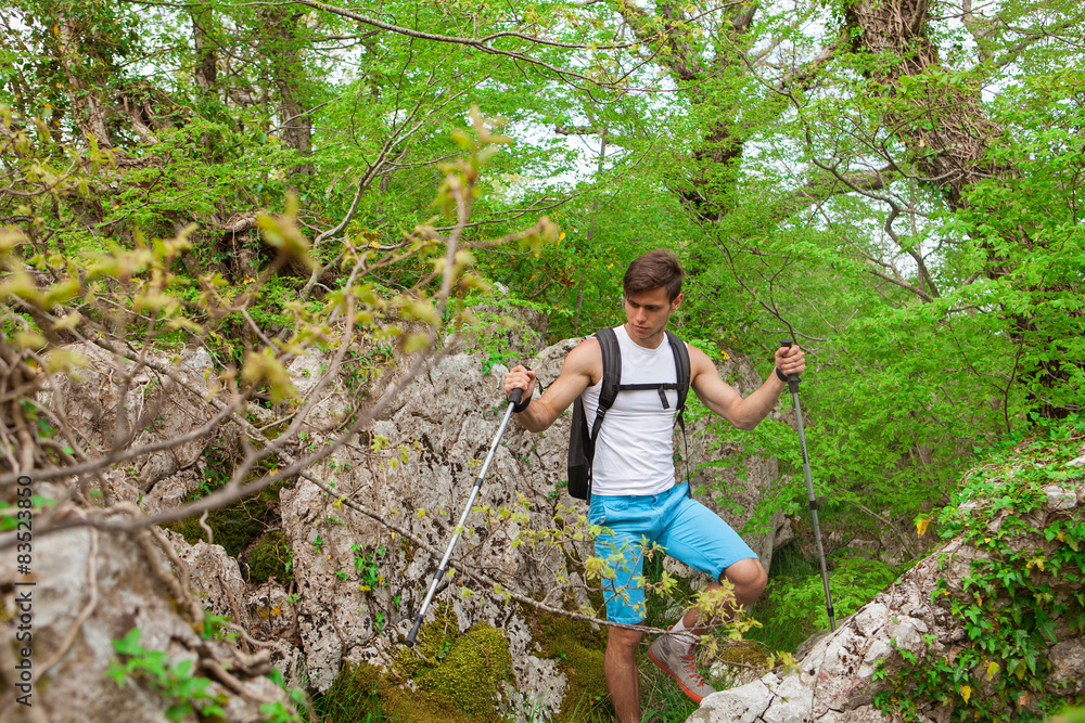 sporty hiker walking through forest sporty hiker walking through forest