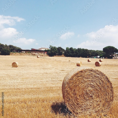 Spain, Catalonia, Barcelona Province, Maresme, Tordera,  Bale of hay photo