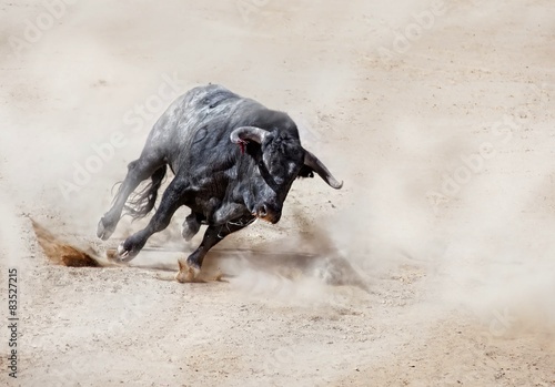 Black bull running across sand creating dust cloud photo