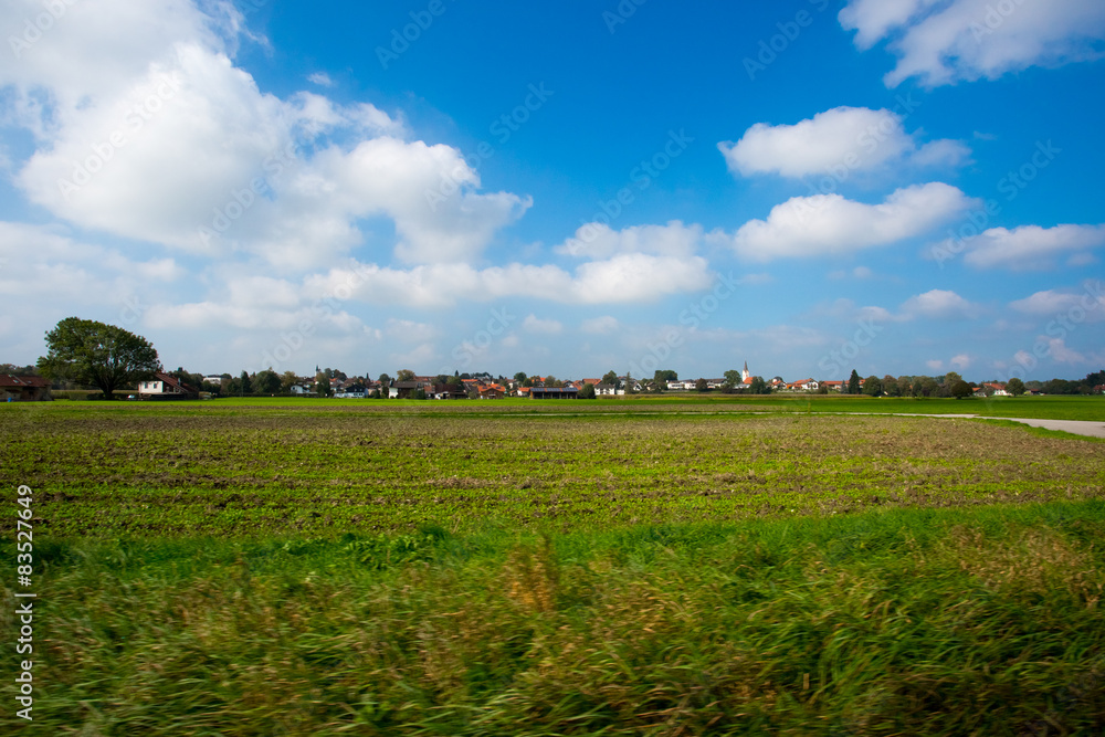 Bright green meadows and blue sky